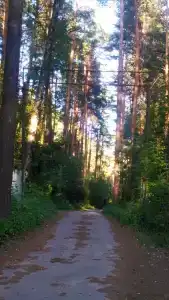 База ветеранов войны и труда - 1
