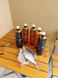 Звезда Тамани - 40