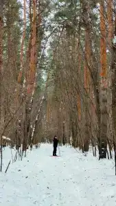 Воронье гнездо - 19
