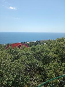 Green Hills - 12