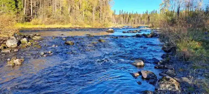 Карху Сегозеро - 28
