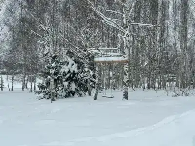 скульптора Эрьзи - 19