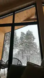 ЛеСъ - 31