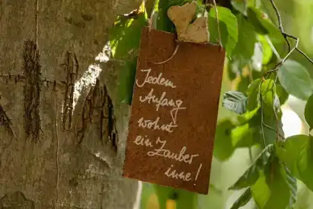 Tannenhof - 26