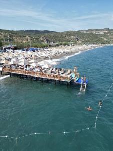Assos Barbarossa - Special Category - 18