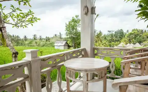 B Saya Villas - 23