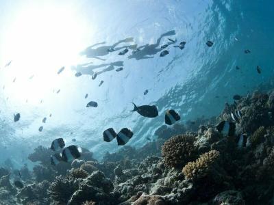 Bathala Island - 7