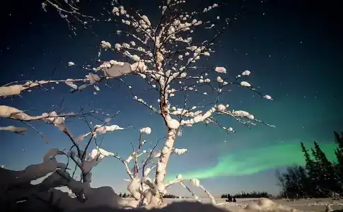 Медвежий угол - 29