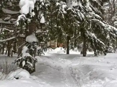 Белое Озеро - 18