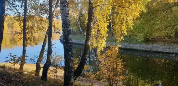 Планерная - 73