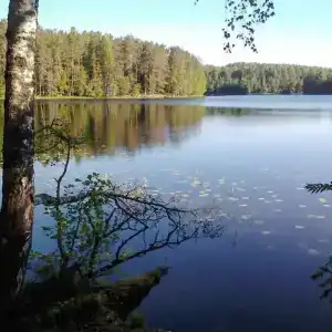Серебряное озеро - 7