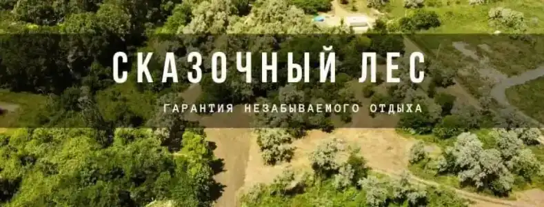 Сказочный лес - 19
