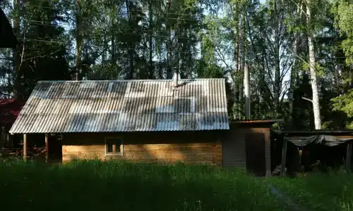 Подсолнухи - 17