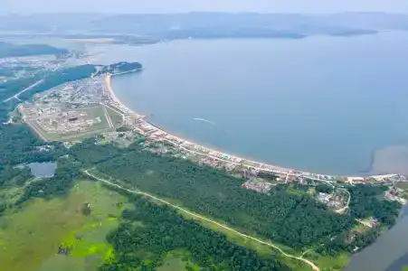 Фламинго - 4