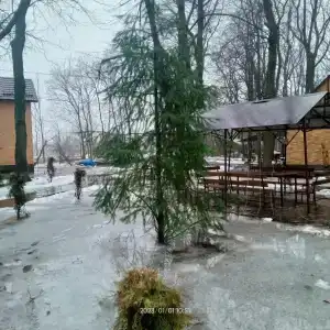 Ласточка - 44
