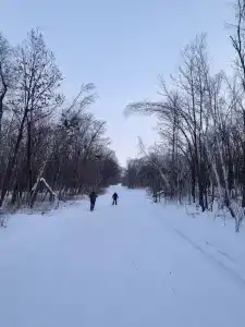 Салют - 2