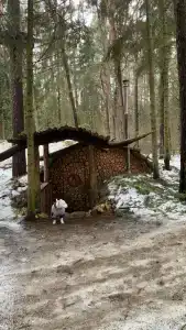 T-Park, тренинговый парк - 98