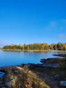 Салонсари - 40