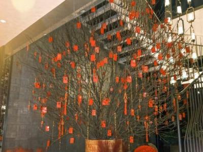 Jw Marriott Marquis Shanghai Pudong - 12