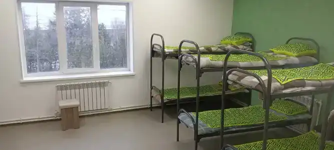 Тундра - 5
