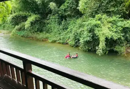 Khao sok river&jungle resort - 36