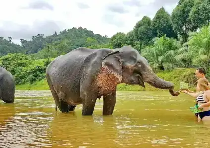 Khao sok river&jungle resort - 2