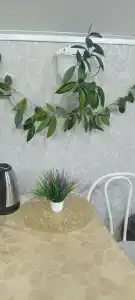 Ной - 13