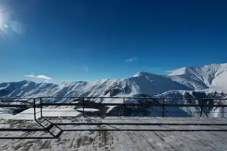 Monte - 29