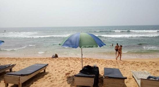Hansa Surf - 7