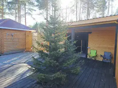 Лунный свет - 28