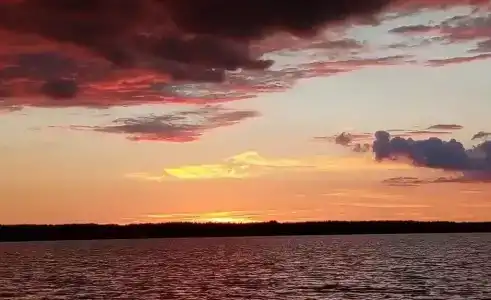 Челмужская усадьба - 16