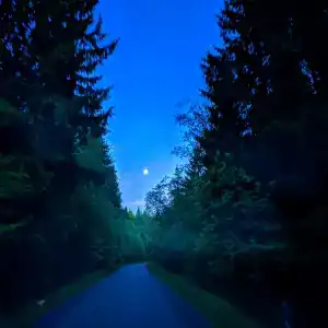 Норка - 2