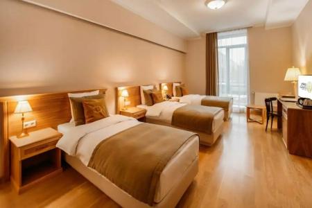 Porta Caucasia Kazbegi - 8