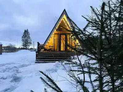 Хвойный Лес - 2