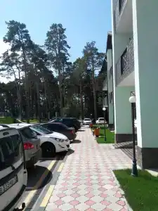 Кокшебель - 44