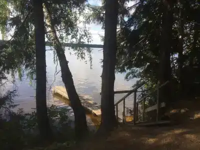Хвойный бор - 2