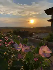 Фридом Веселовка - 17