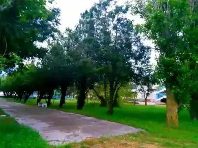 В гостях у Джокера - 26