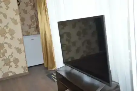 у Людмилы - 31