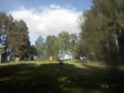 ГаммаСофт - 36