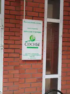 Сосны - 80