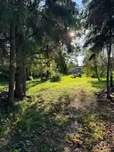 Сергово - 7