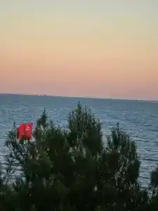 КристОля - 11