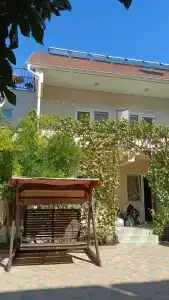 Кипарис - 2