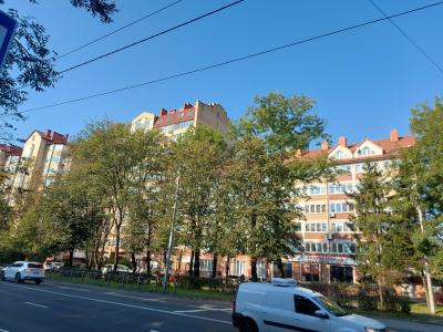 Crown39 на Александра Невского - 46