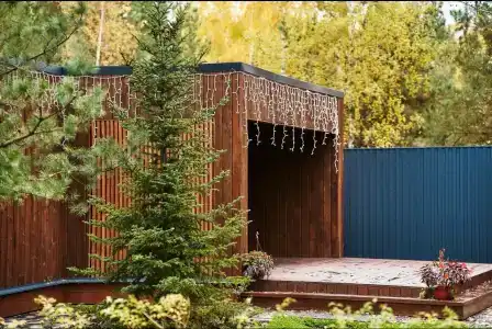МоментС - 10