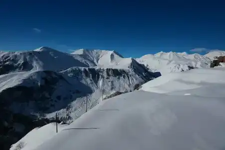 Monte - 8