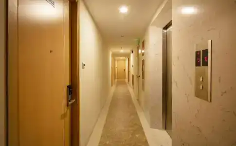 The Swan - 14