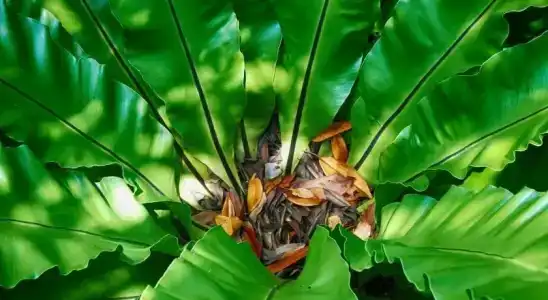 Baan Rim Nam - 25
