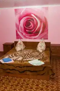 Солнечный - 9